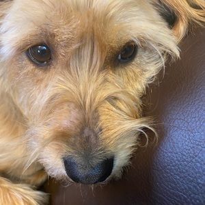 Meet your Posher, Meredith